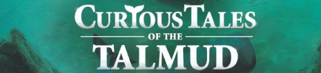 Curious.jpg